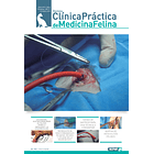 Clínica Práctica de Medicina Felina Volumen 3/ N° 11 1