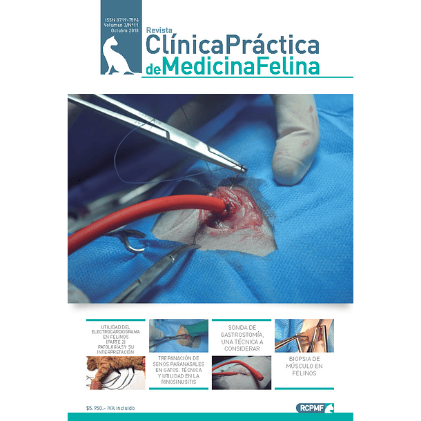 Clínica Práctica de Medicina Felina Volumen 3/ N° 11