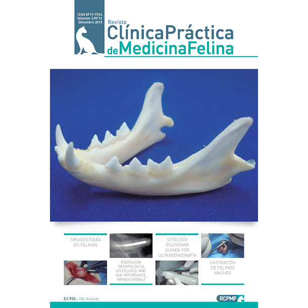 Clínica Práctica de Medicina Felina Volumen 3/ N° 12