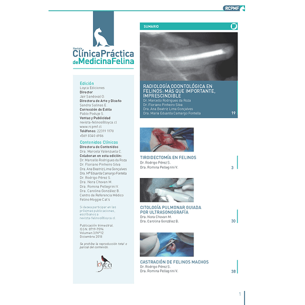 Clínica Práctica de Medicina Felina Volumen 3/ N° 12