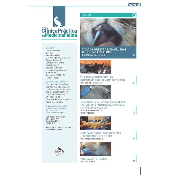 Clínica Práctica de Medicina Felina Volumen 4/ N° 13