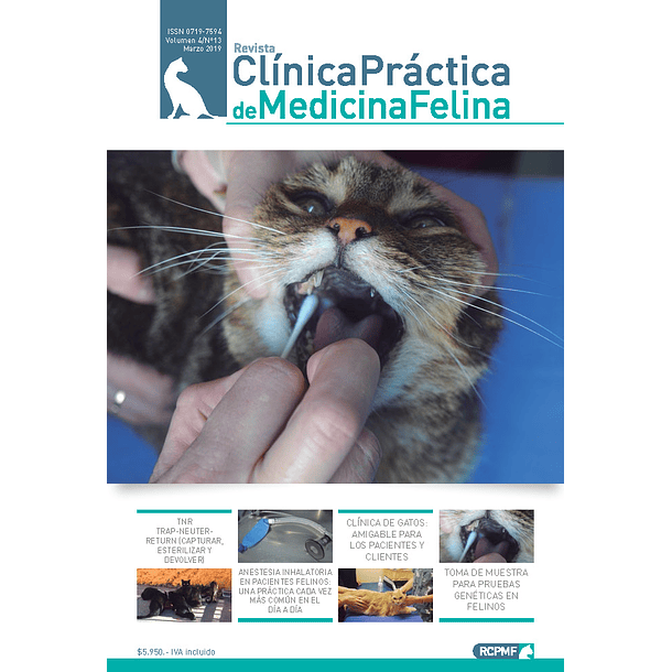 Clínica Práctica de Medicina Felina Volumen 4/ N° 13