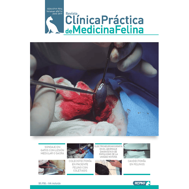 Clínica Práctica de Medicina Felina Volumen 4/ N° 14