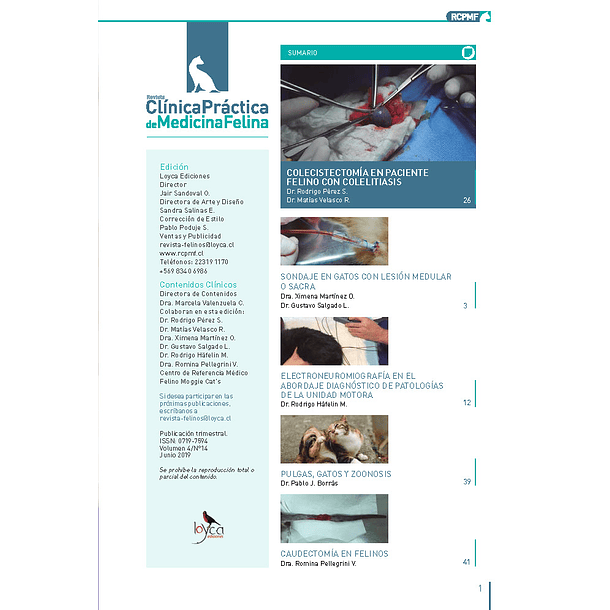 Clínica Práctica de Medicina Felina Volumen 4/ N° 14
