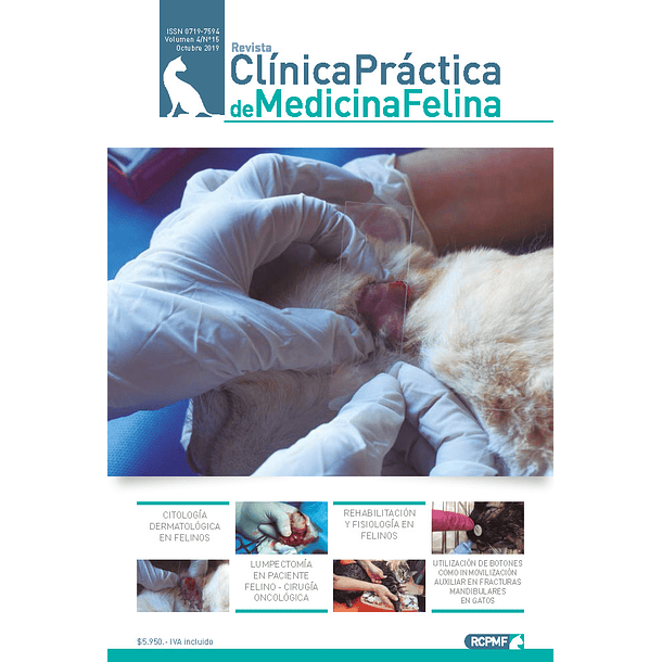 Clínica Práctica de Medicina Felina Volumen 4/ N° 15