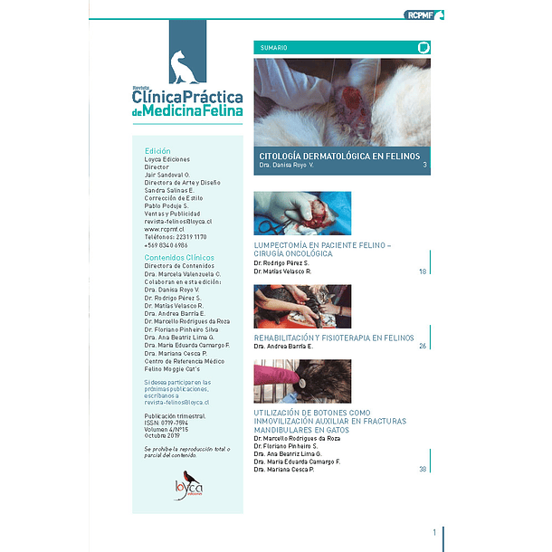 Clínica Práctica de Medicina Felina Volumen 4/ N° 15