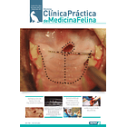 Clínica Práctica de Medicina Felina Volumen 4/ N° 16 1