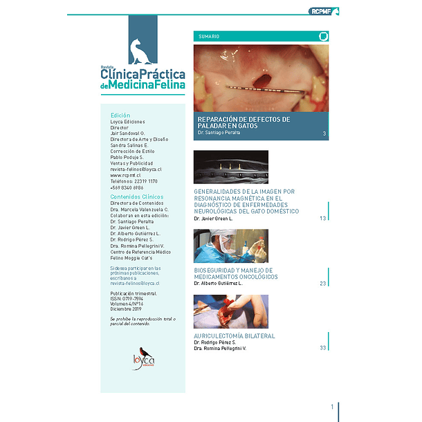 Clínica Práctica de Medicina Felina Volumen 4/ N° 16