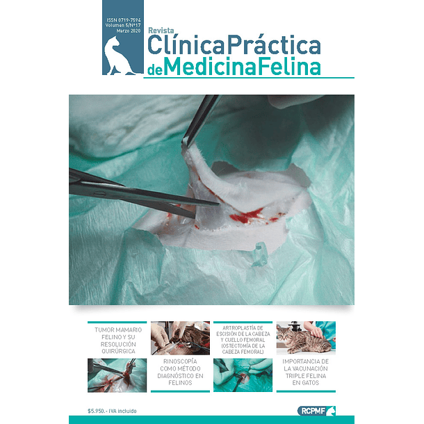 Clínica Práctica de Medicina Felina Volumen 4/ N° 17