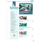 Clínica Práctica de Medicina Felina Volumen 4/ N° 17 2