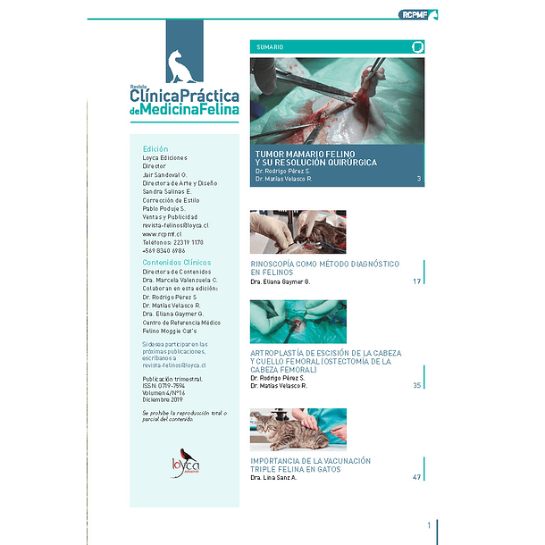Clínica Práctica de Medicina Felina Volumen 4/ N° 17