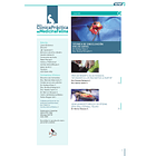 Clínica Práctica de Medicina Felina Volumen 5/ N° 18 2