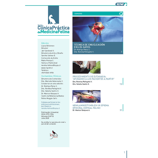 Clínica Práctica de Medicina Felina Volumen 5/ N° 18
