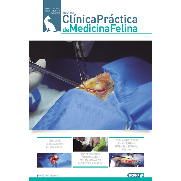 Clínica Práctica de Medicina Felina Volumen 5/ N° 18