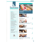 Clínica Práctica de Medicina Felina Volumen 5/ N° 19 2