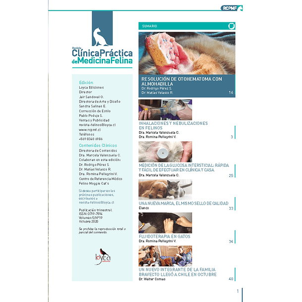 Clínica Práctica de Medicina Felina Volumen 5/ N° 19