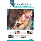 Clínica Práctica de Medicina Felina Volumen 5/ N° 19 1