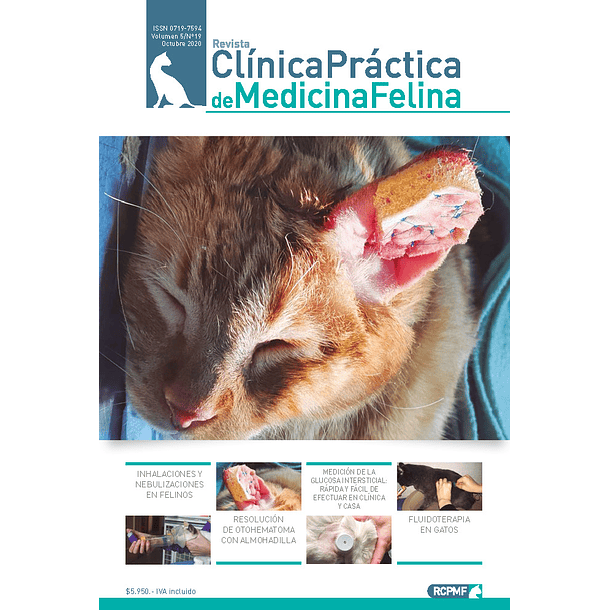 Clínica Práctica de Medicina Felina Volumen 5/ N° 19