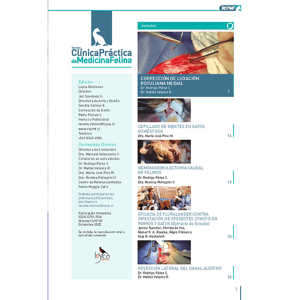 Clínica Práctica de Medicina Felina Volumen 5/ N° 20