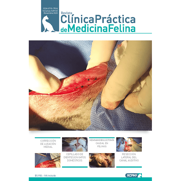 Clínica Práctica de Medicina Felina Volumen 5/ N° 20