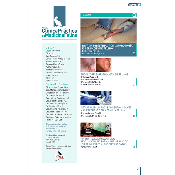 Clínica Práctica de Medicina Felina Volumen 6/ N° 21