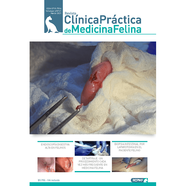 Clínica Práctica de Medicina Felina Volumen 6/ N° 21