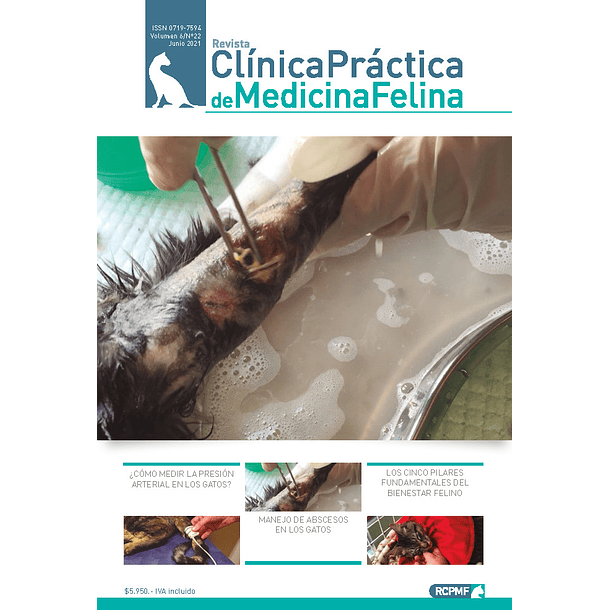 Clínica Práctica de Medicina Felina Volumen 6/ N° 22