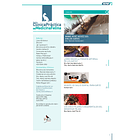 Clínica Práctica de Medicina Felina Volumen 6/ N° 22 2