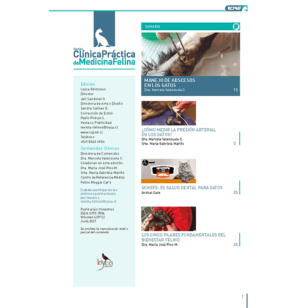 Clínica Práctica de Medicina Felina Volumen 6/ N° 22