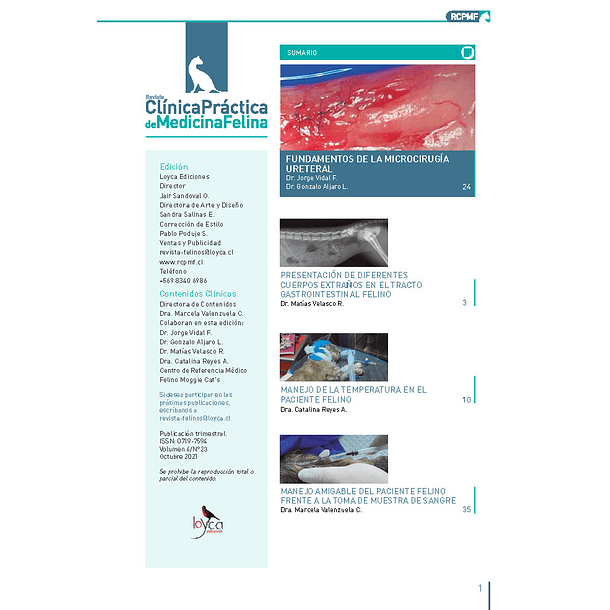 Clínica Práctica de Medicina Felina Volumen 6/ N° 23