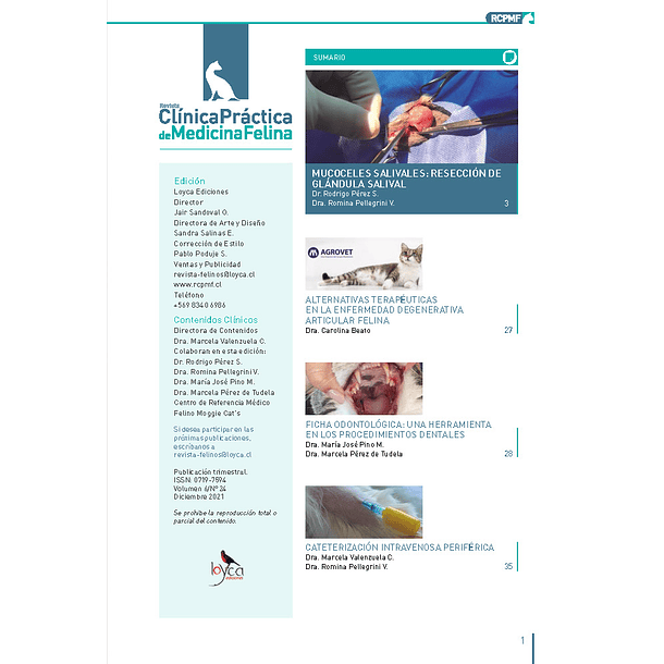 Clínica Práctica de Medicina Felina Volumen 6/ N° 24