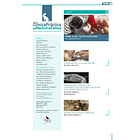 Clínica Práctica de Medicina Felina Volumen 7/ N° 25 2