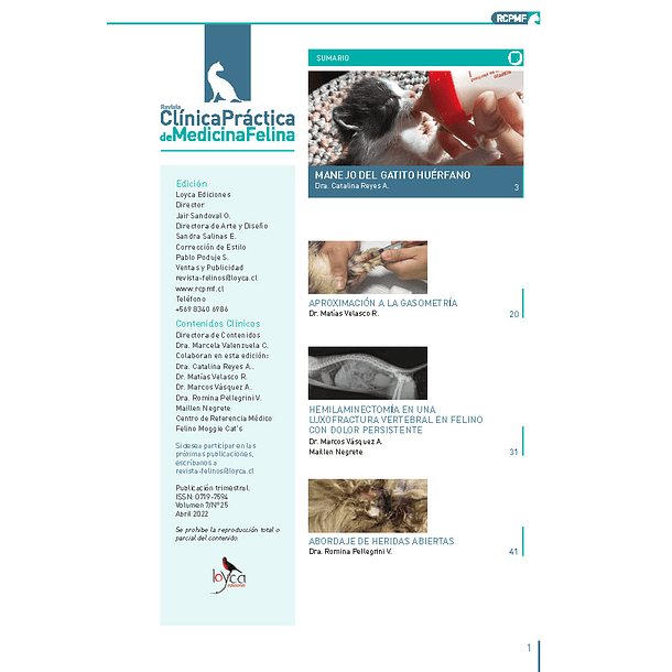 Clínica Práctica de Medicina Felina Volumen 7/ N° 25
