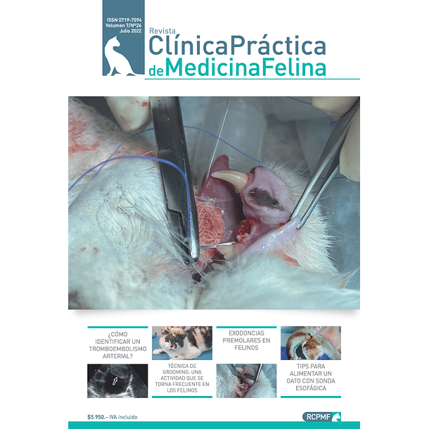 Clínica Práctica de Medicina Felina Volumen 7/ N° 26