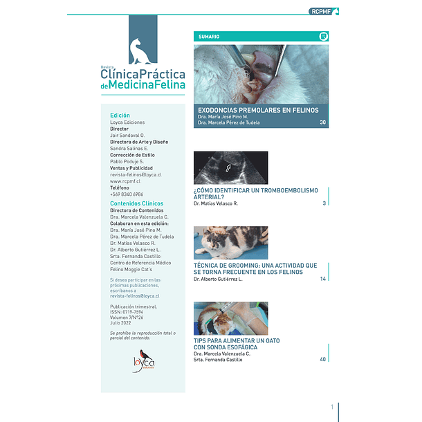 Clínica Práctica de Medicina Felina Volumen 7/ N° 26