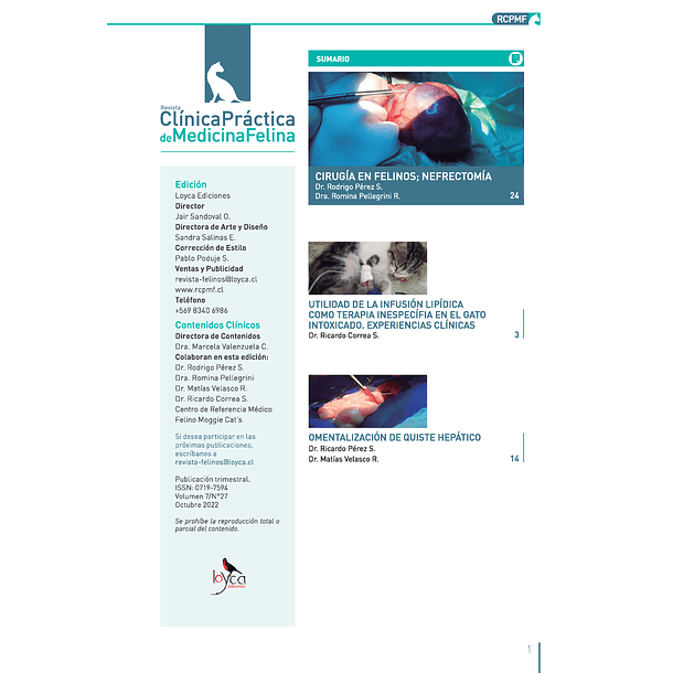 Clínica Práctica de Medicina Felina Volumen 7/ N° 27