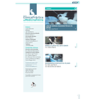 Clínica Práctica de Medicina Felina Volumen 7/ N° 28 2