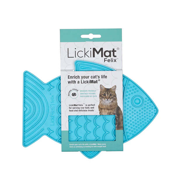 Lm Felix Turquoise For Cat