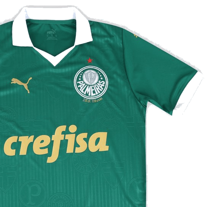 Camiseta local del Palmeiras 24/25 5