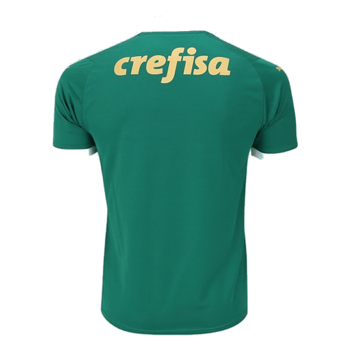 Camiseta local del Palmeiras 24/25 2