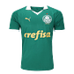 Camiseta local del Palmeiras 24/25 - Miniatura 1