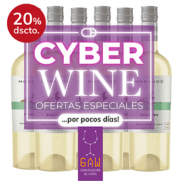 Pack de Reserva Pionero Sauvignon Blanc, Cyber Wine