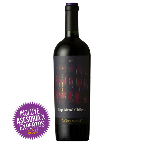 Top Winemakers Blend Chile
