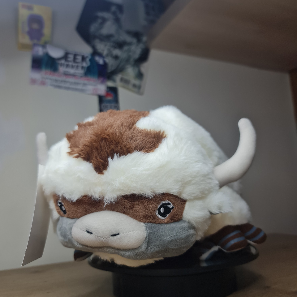 APPA - AVATAR / MAESTRO DEL AIRE 3