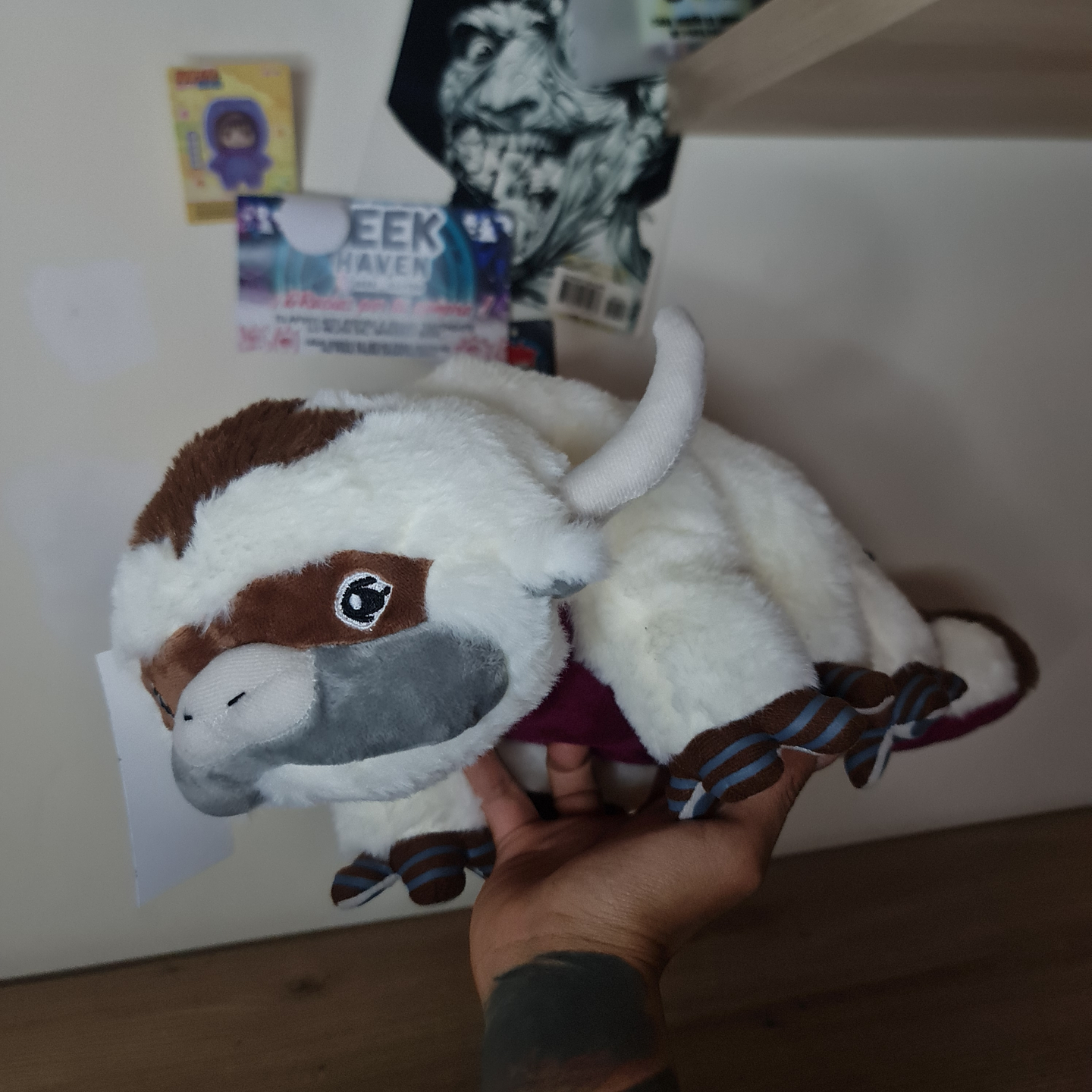 APPA - AVATAR / MAESTRO DEL AIRE 4