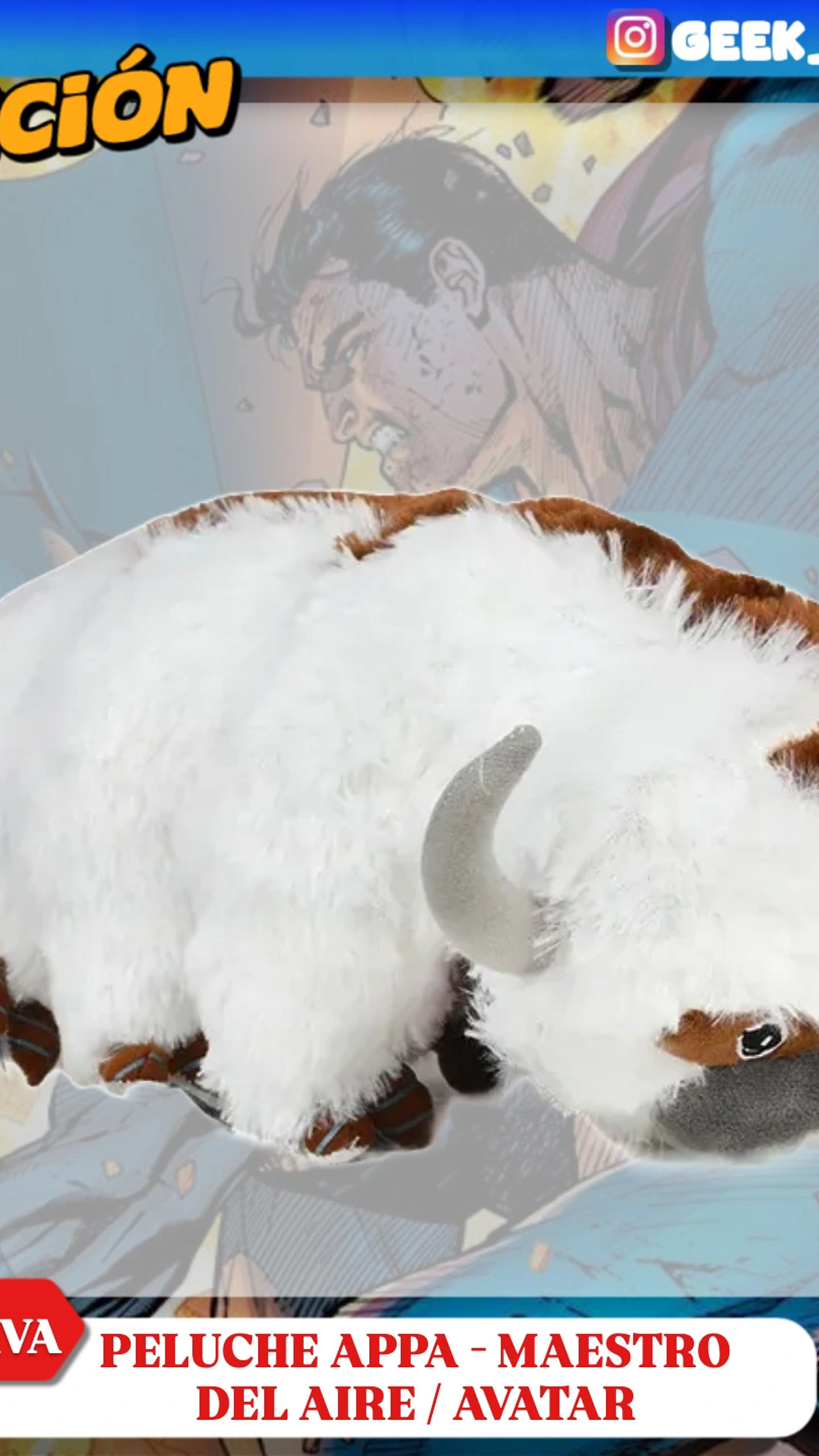 APPA - AVATAR / MAESTRO DEL AIRE 1