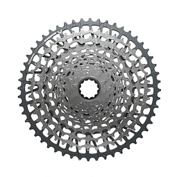Piñon GX T-Type 12v 10-52