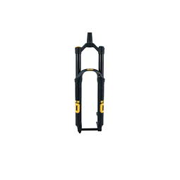 RFX38 M.2 29" 170 MM 