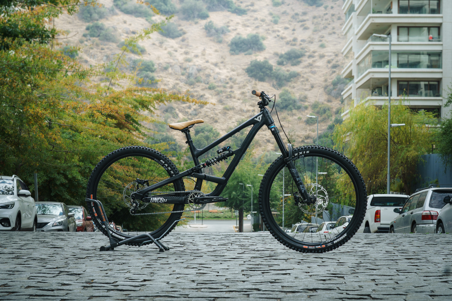 YT Capra Custom Series 1 MX 
