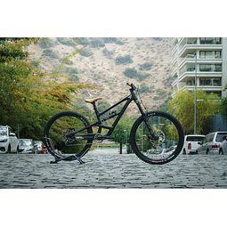 YT Capra Custom Series 1 MX 